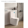 ALPHA Rimless Tornado Flush Back-to-wall Toilet Suite 655*385*870mm